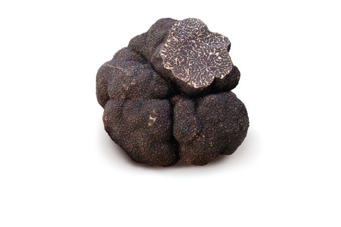 Μαύρη χειμερινή τρούφα